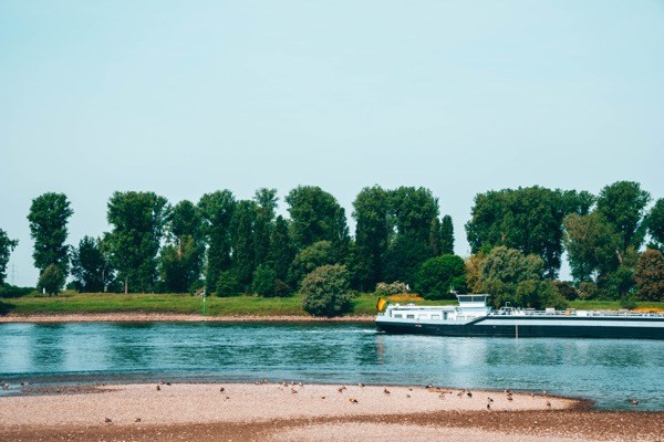 Am Rhein, Flusslandschaft Niederrhein 2026