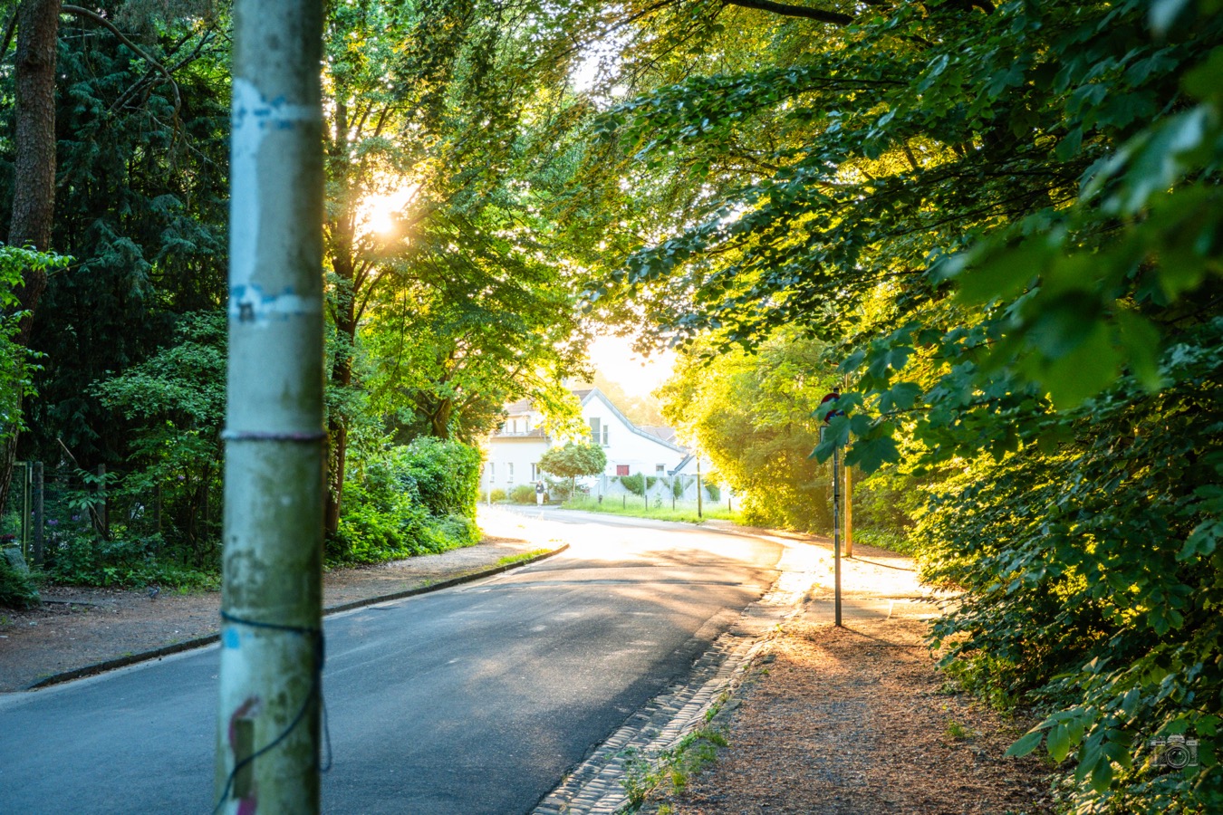 Golden Hour, Straßenfotografie 2026